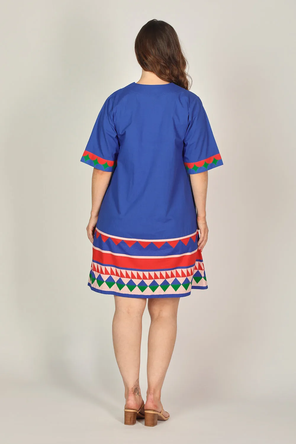Kora A-Line Dress in Ralli